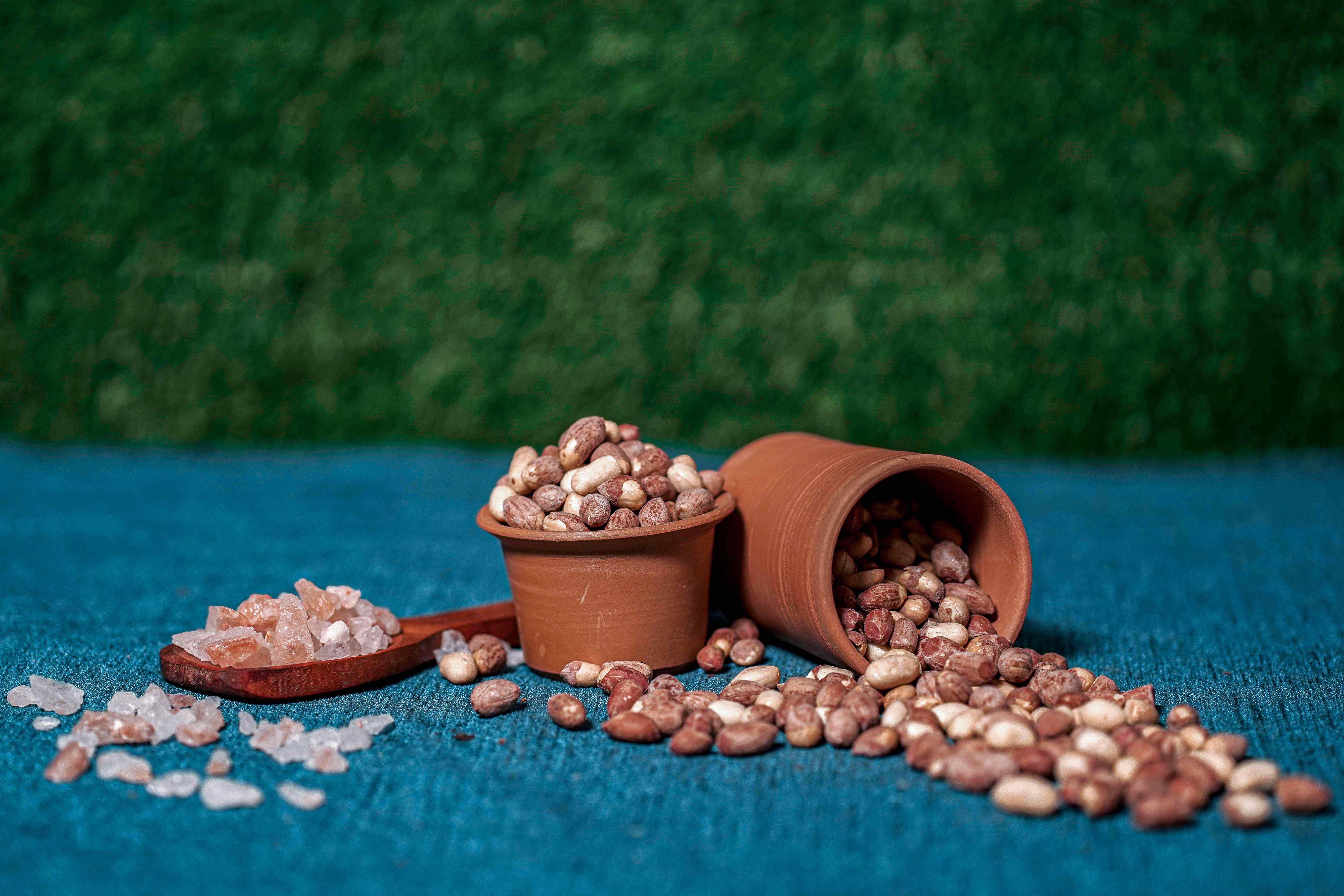 bombay salted peanuts