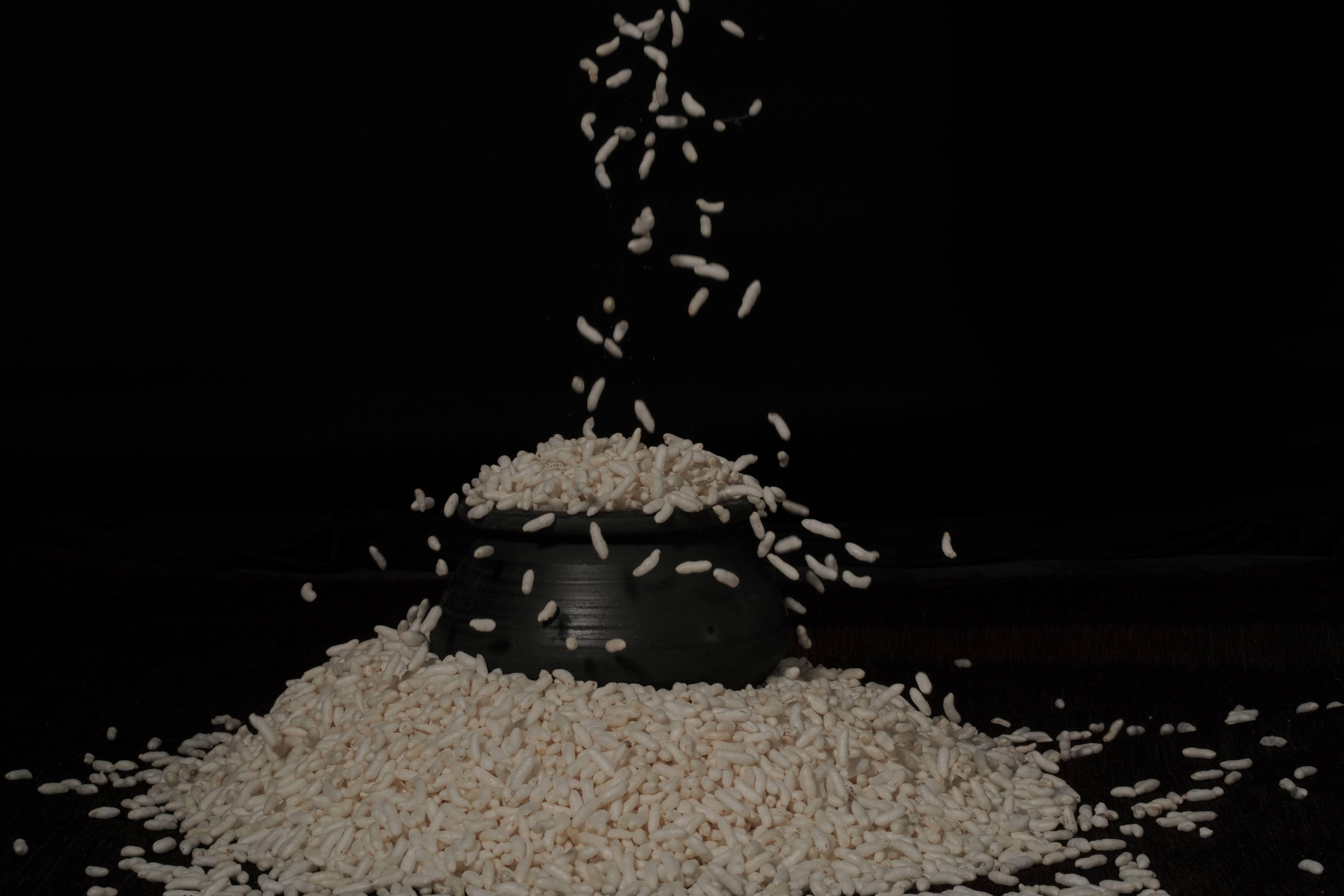 surati chirmura-bold[of cross intan paddy]